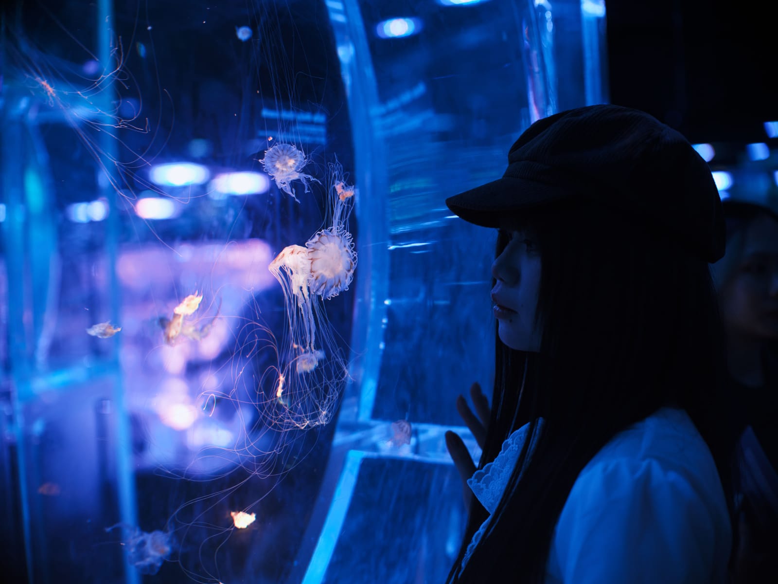 Kaiyukan Aquarium